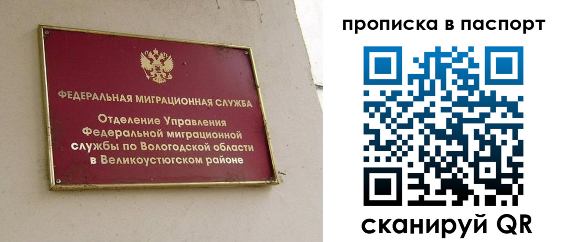 где прописаться в Дрезне